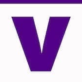 Vice Vibe Logo